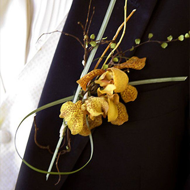 Ethan wore an exotic orange orchid on his lapel.