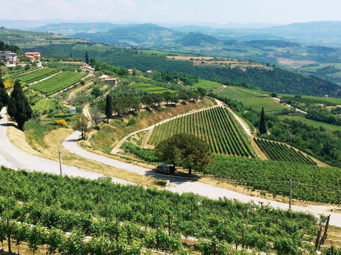 Picture of Cantina F.lli Zeni