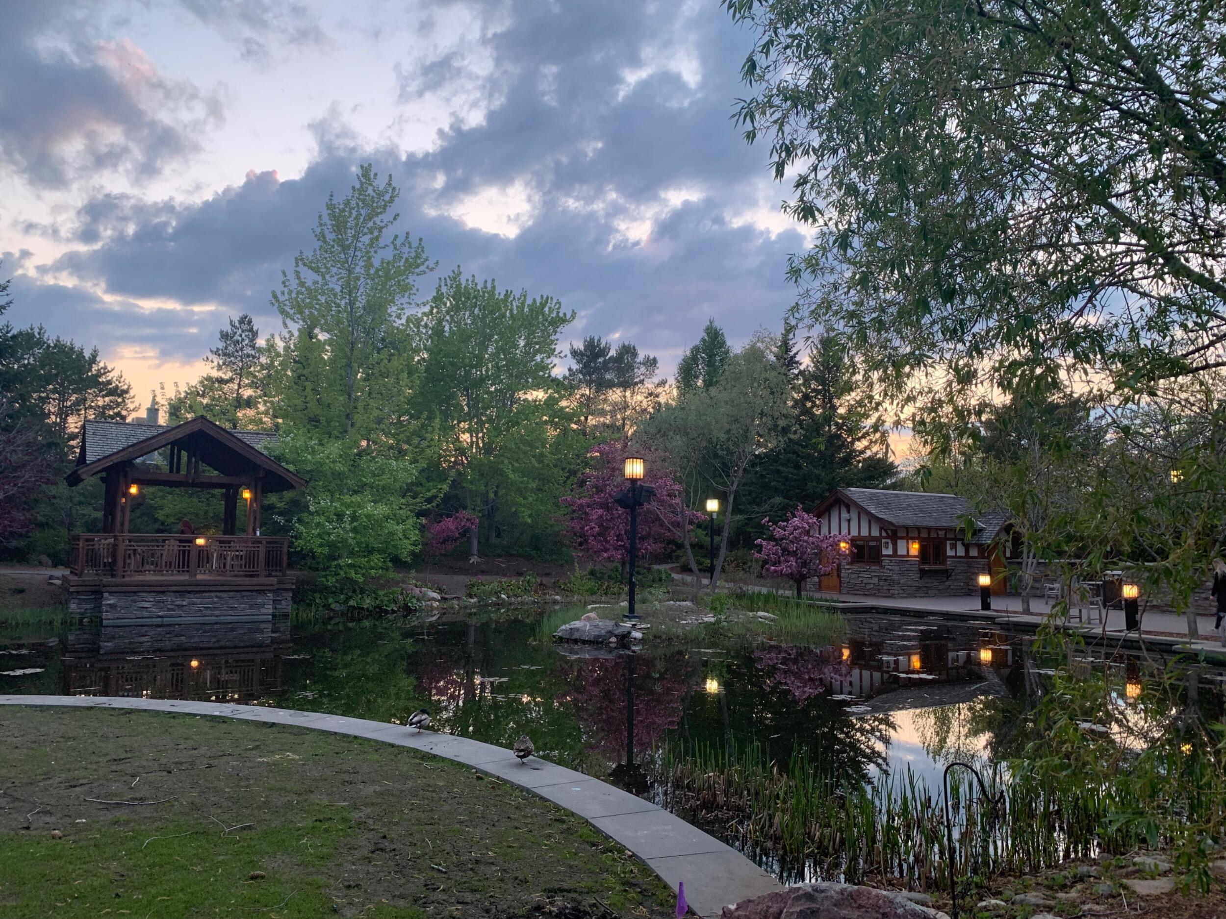 Picture of Boffins Public Gardens