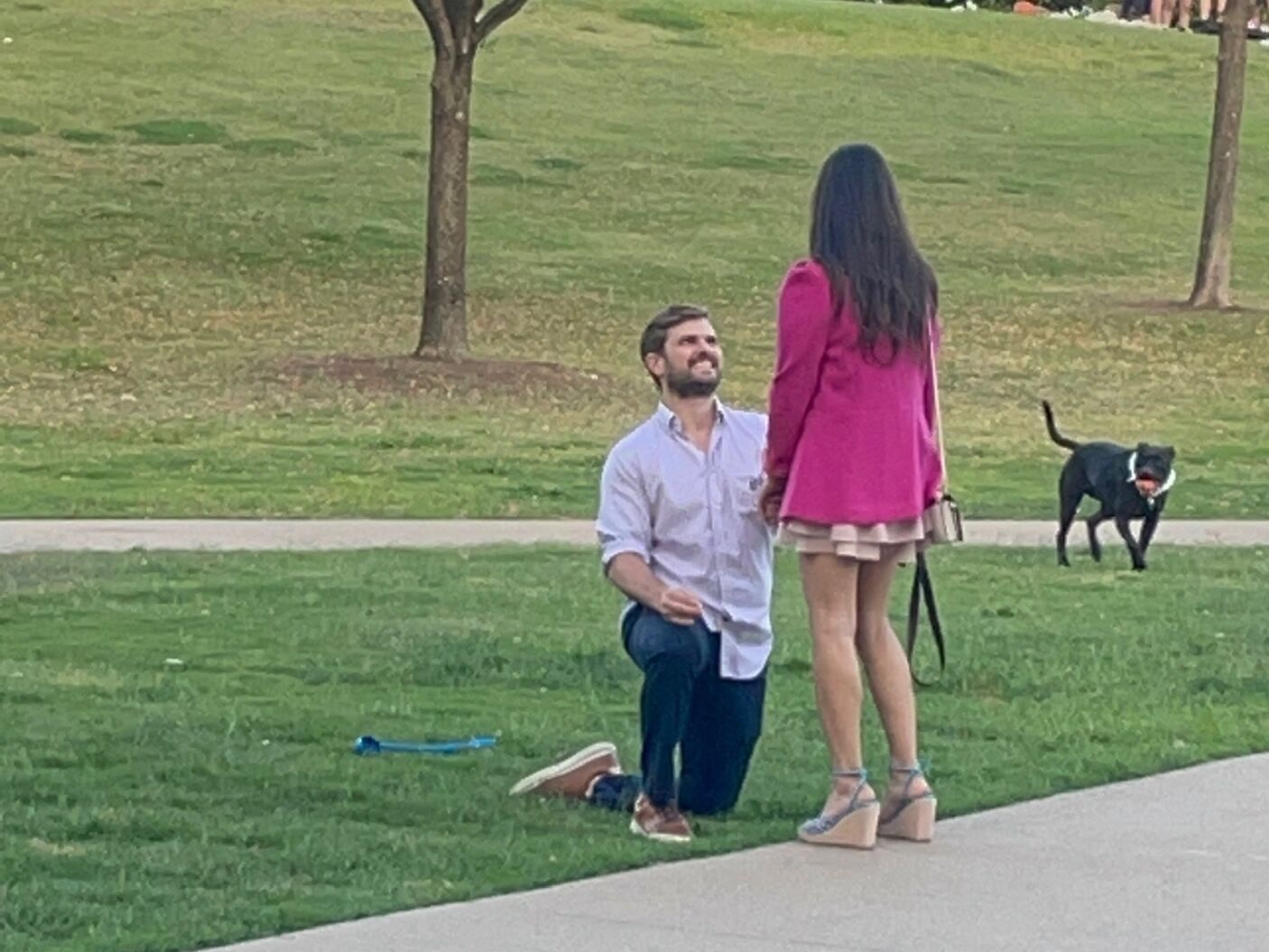 Picture of The Proposal