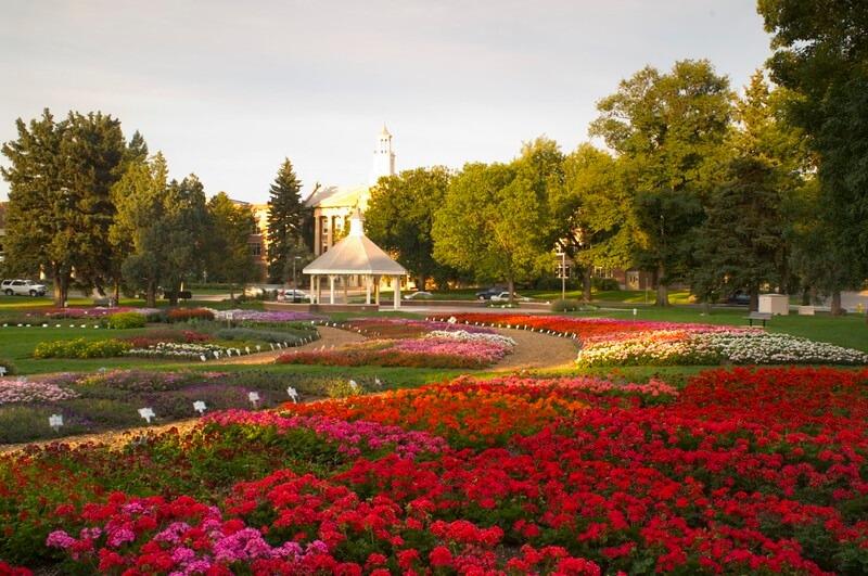 Picture of CSU Annual Flower Trial Gardens