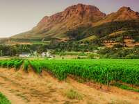 14 South African Wedding Traditions to Know