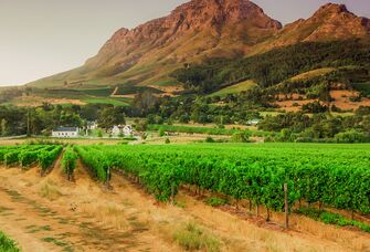 14 South African Wedding Traditions to Know