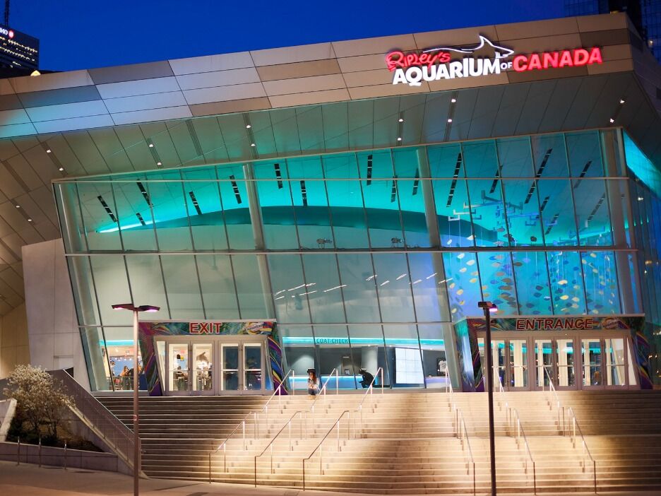 Picture of Ripley's Aquarium of Canada
