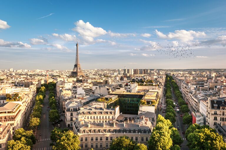 paris summer birds flock past the eiffel tower as tree lined streets are in bloom for a honeymoon