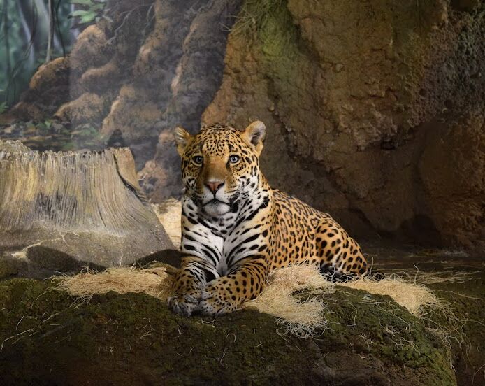 Picture of Milwaukee County Zoo