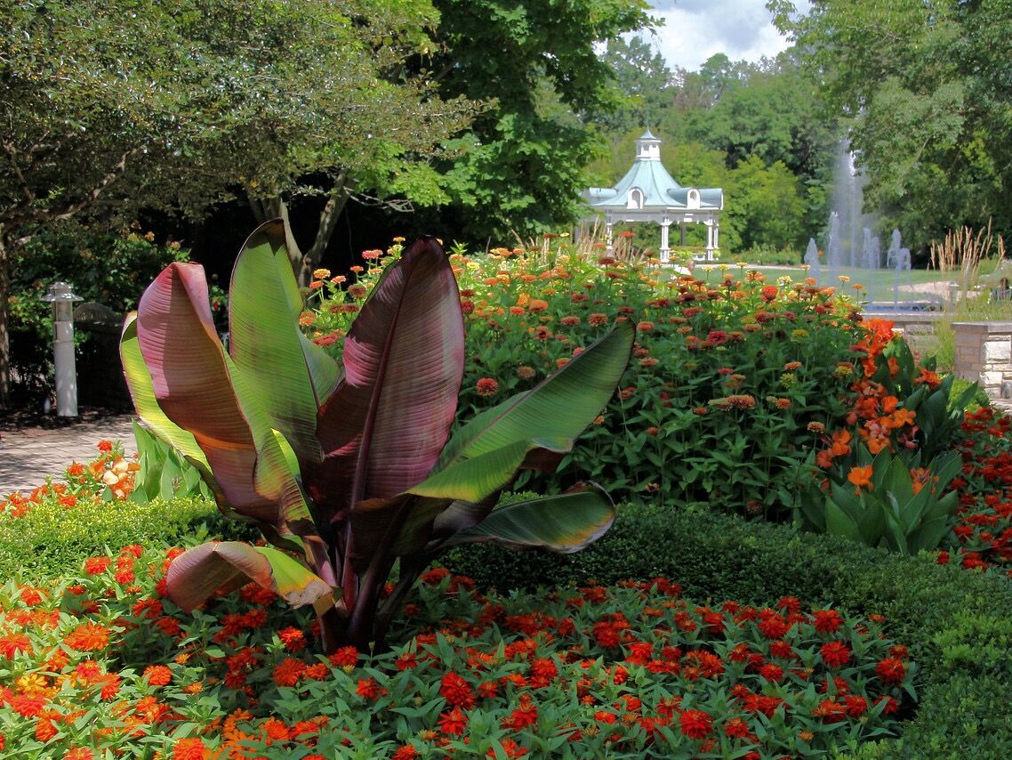 Picture of Fellows Riverside Gardens