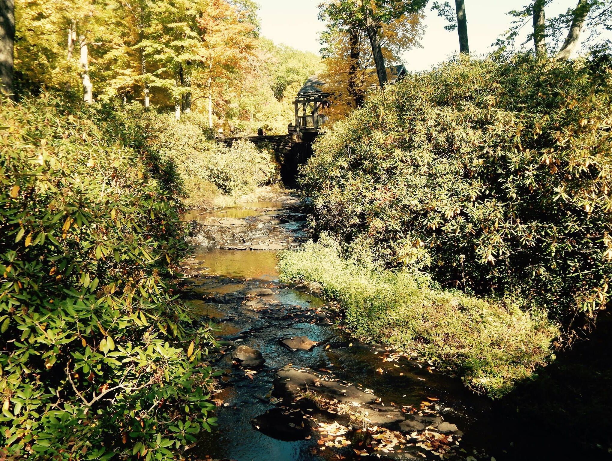 Picture of Moore State Park