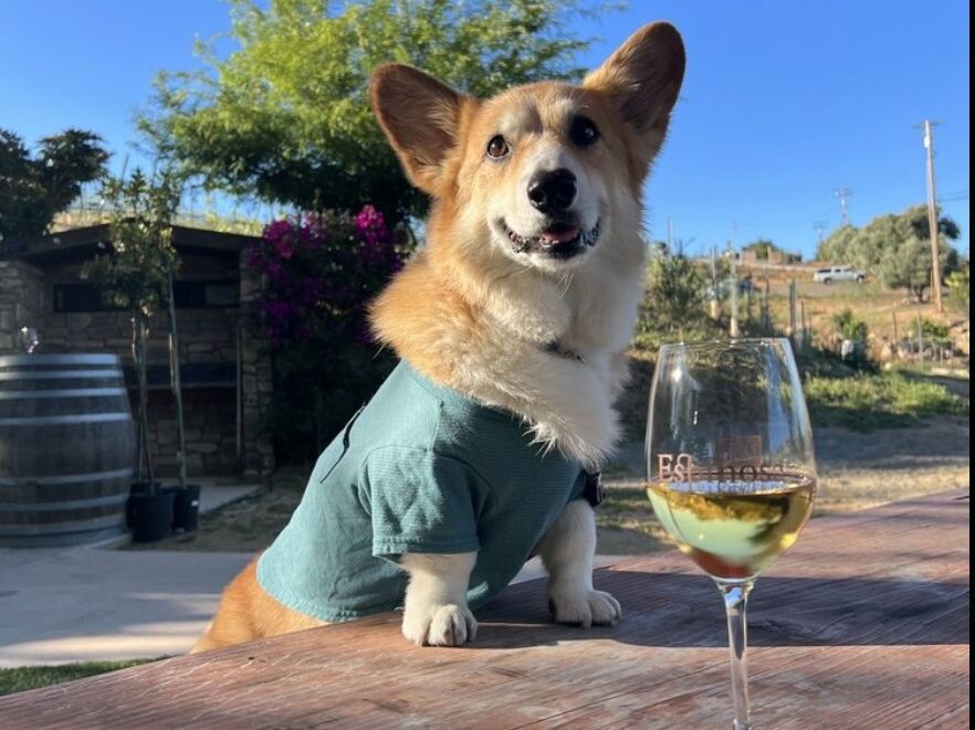 Picture of Espinosa Vineyards and Winery