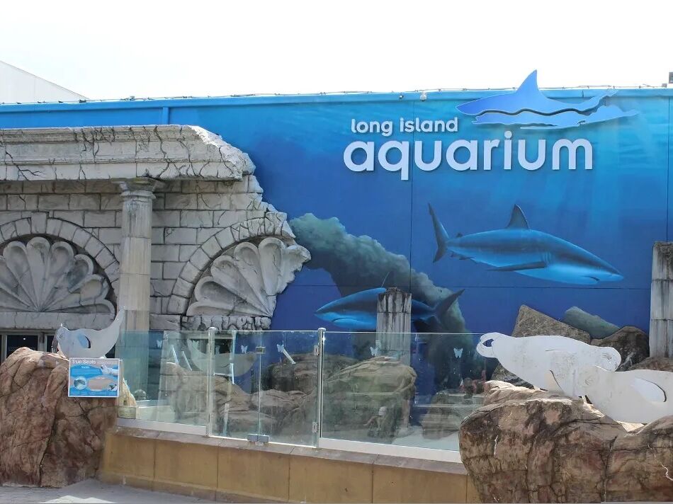 Picture of Long Island Aquarium