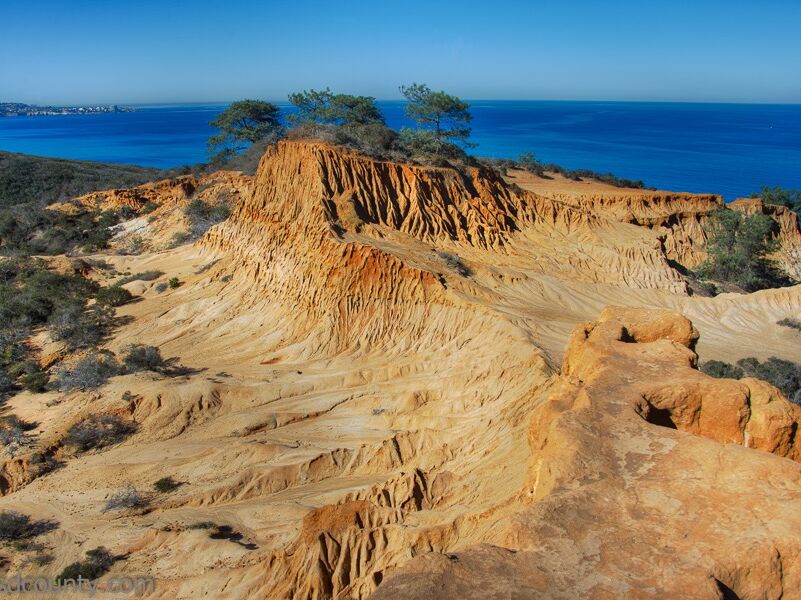Picture of Torrey Pines State Natural Reserve