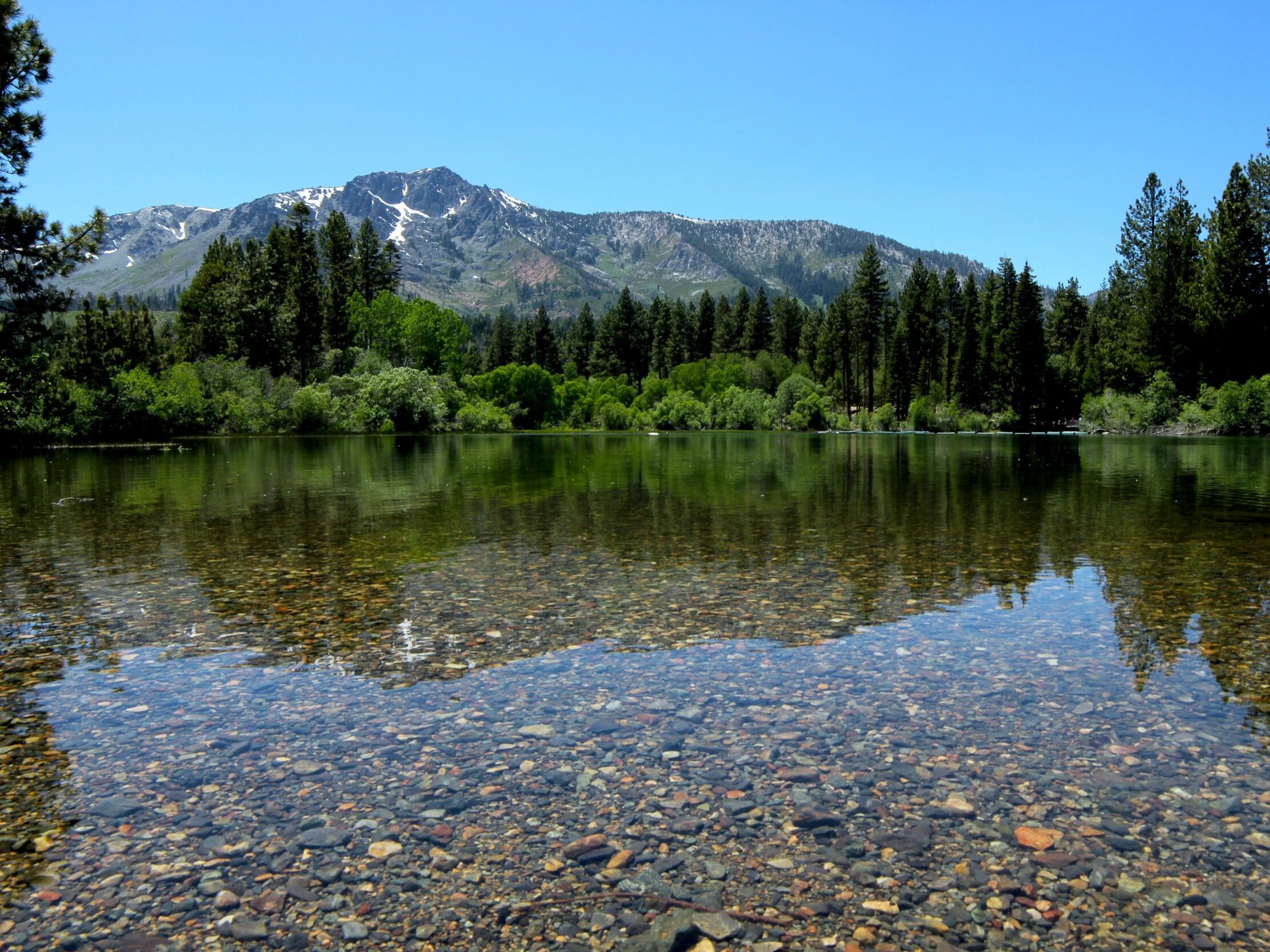Picture of Fallen Leaf Lake