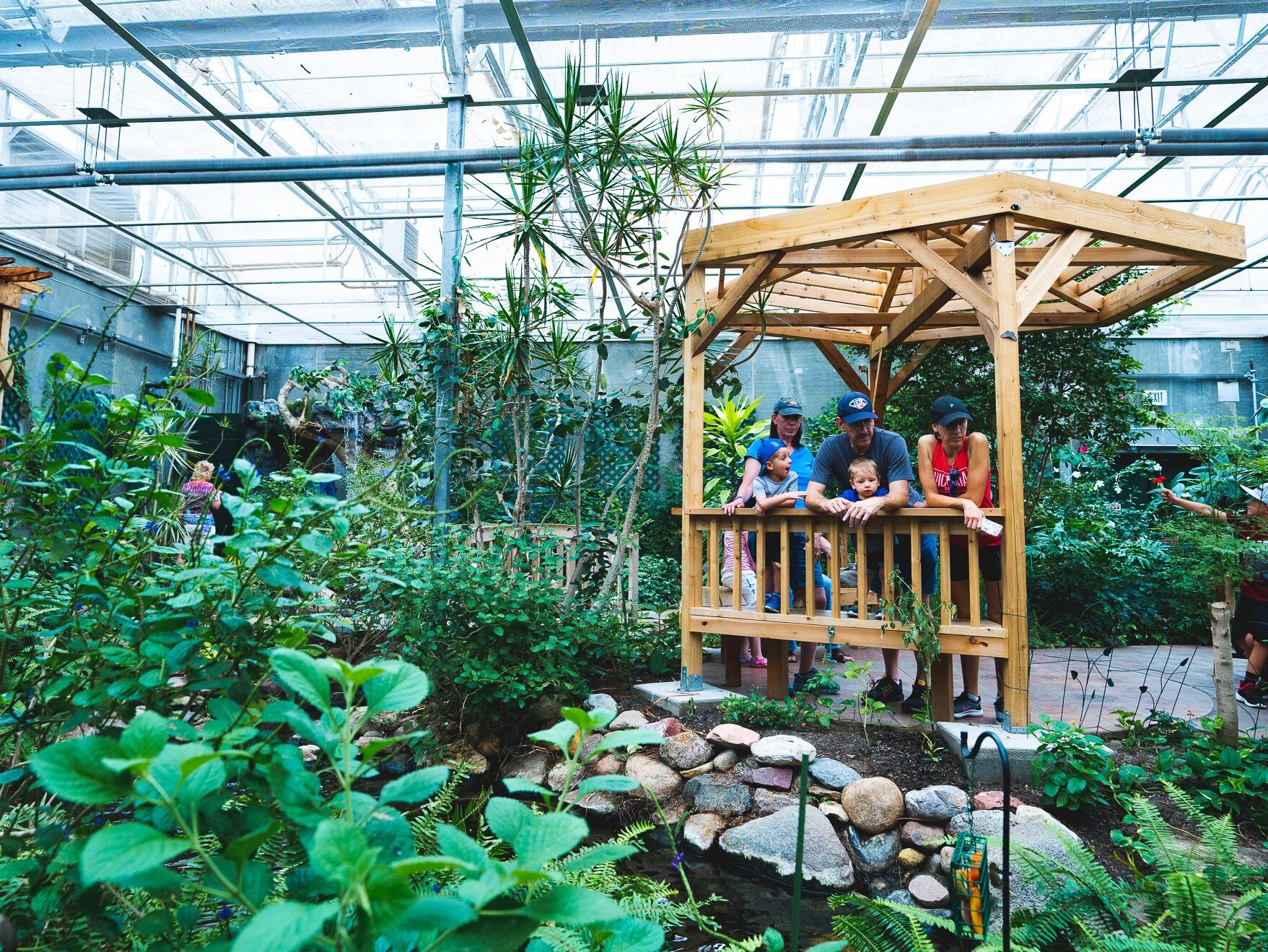 Picture of Butterfly House & Aquarium
