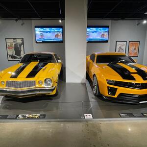 Gallery Photo 43