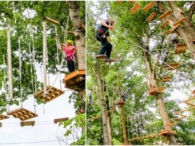 Picture of Adventureworks Hot Springs Ziplining