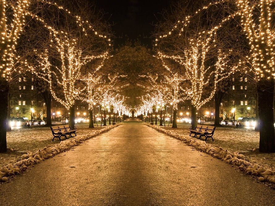 Picture of Commonwealth Avenue Mall