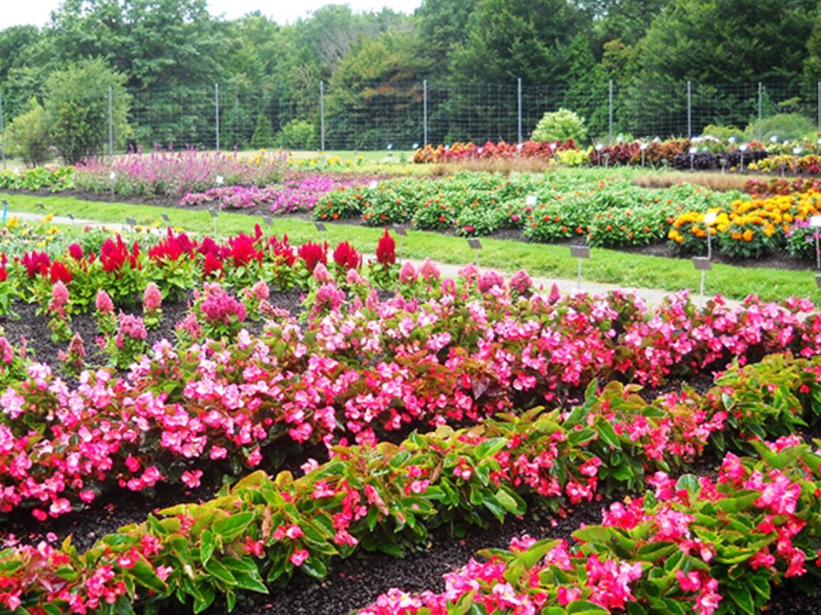 Picture of Boerner Botanical Gardens