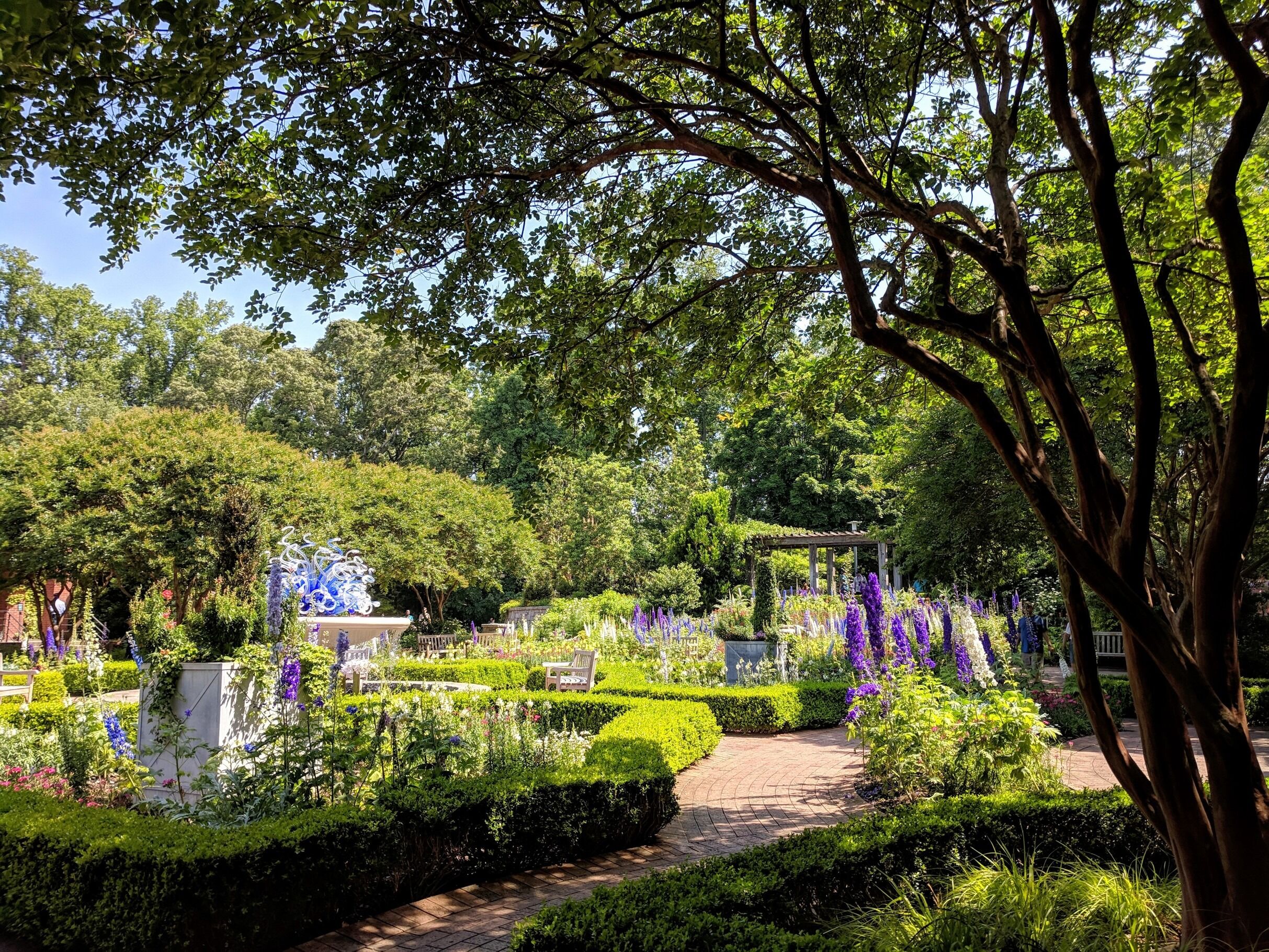 Picture of Atlanta Botanical Garden
