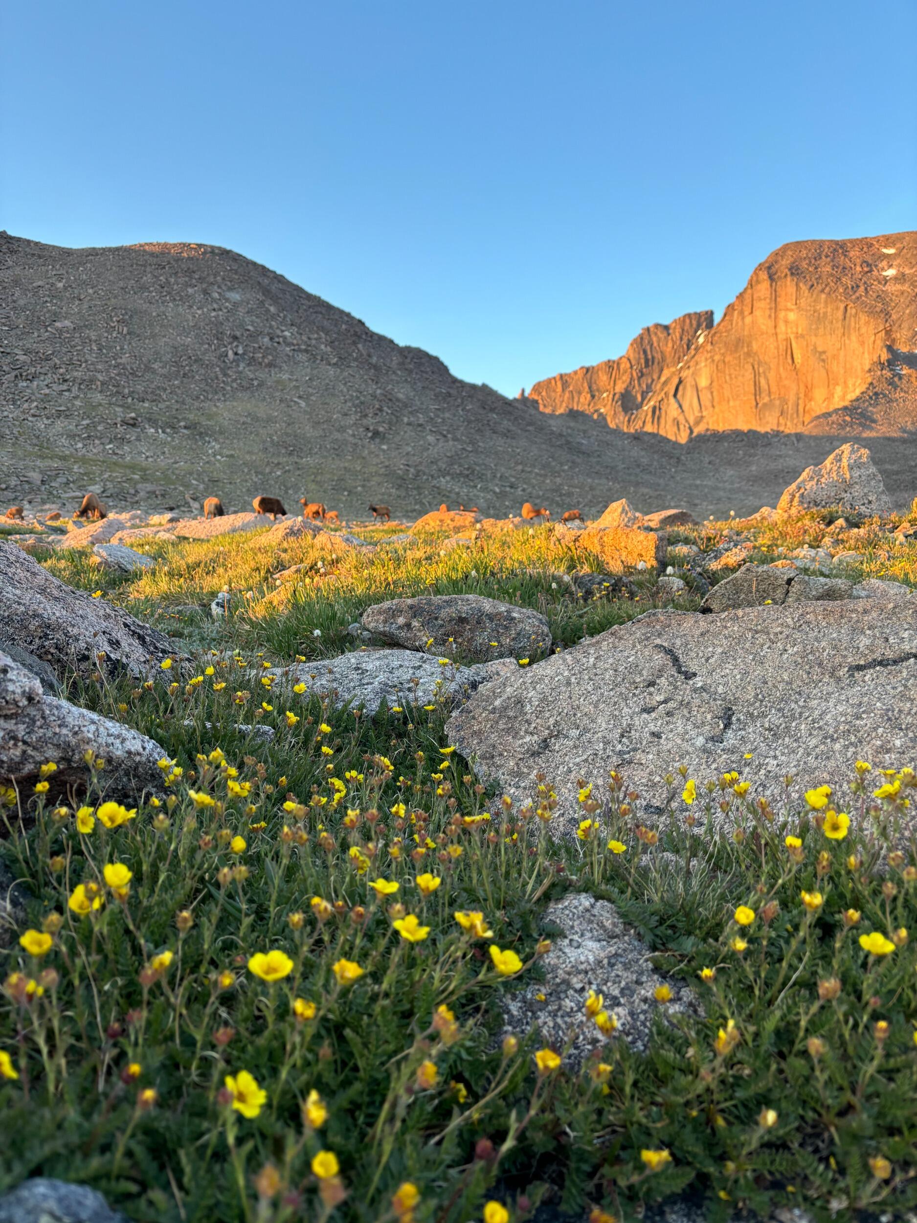 Picture of Rocky Mountain National Park