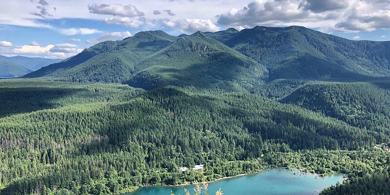 Picture of Rattlesnake Lake / Trails