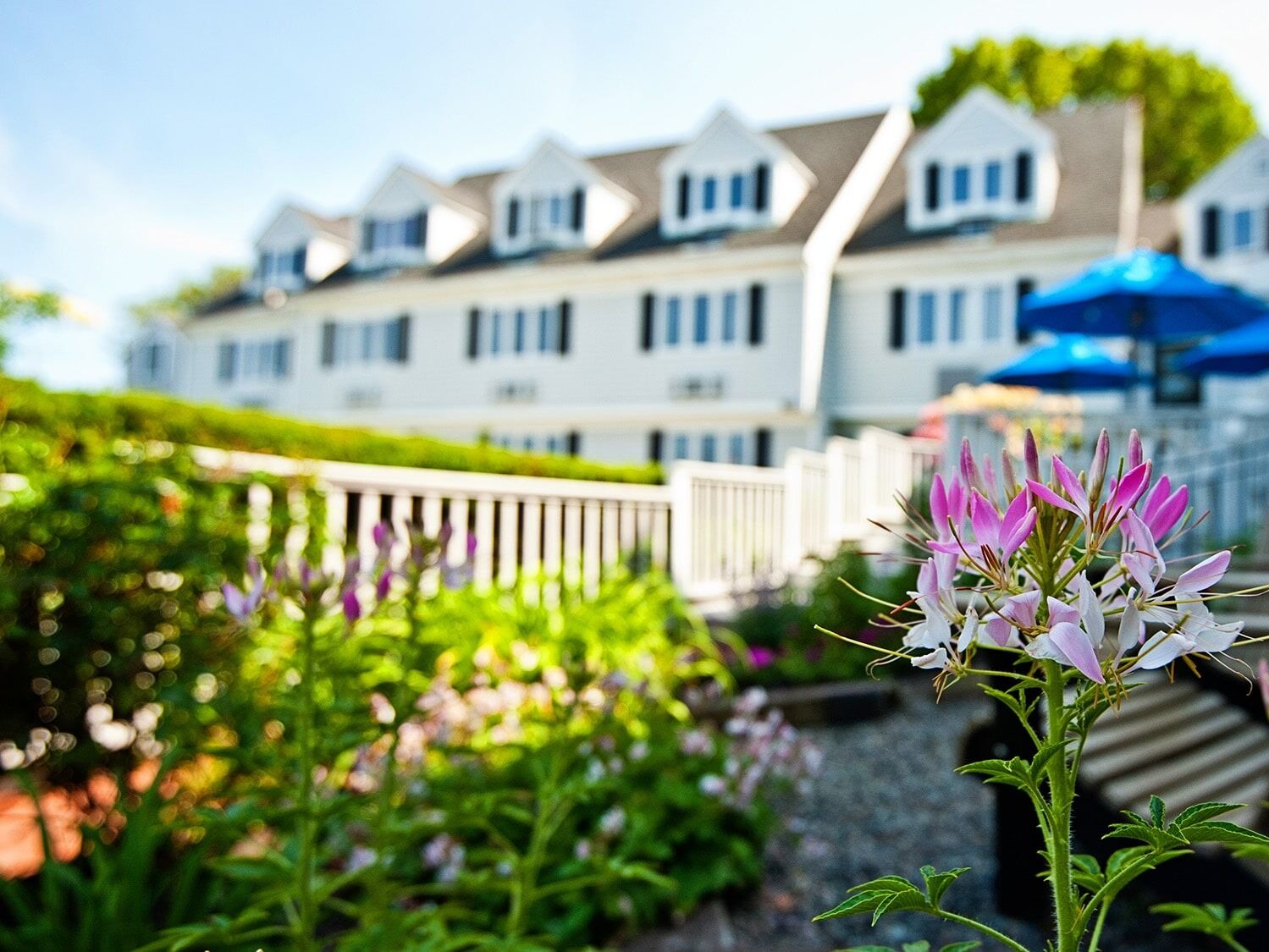 Picture of The Inn at Scituate Harbor