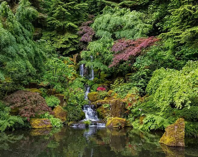 Picture of Portland Japanese Garden