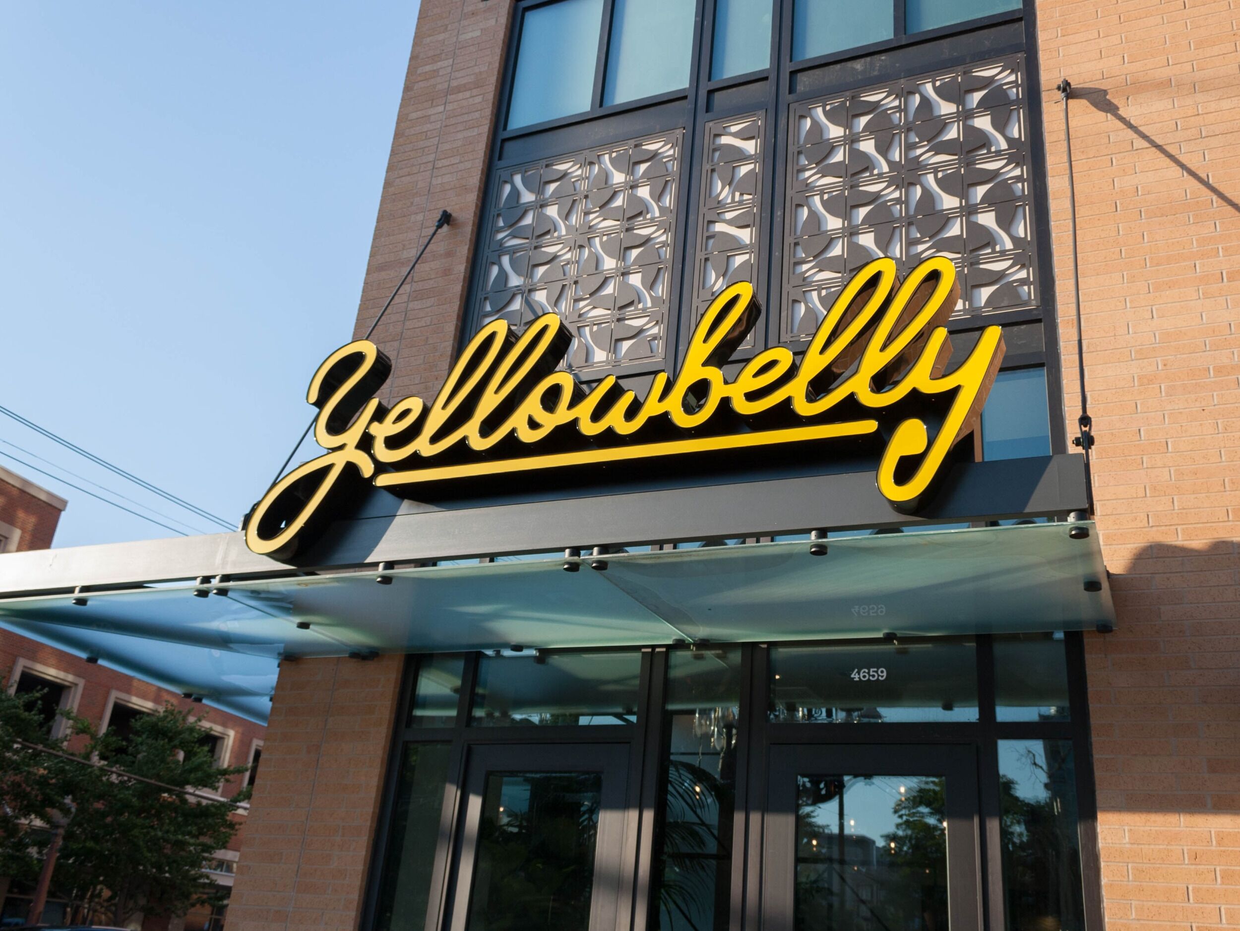 Picture of Yellowbelly