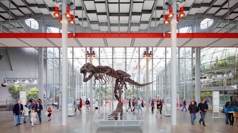 Picture of California Academy of Sciences