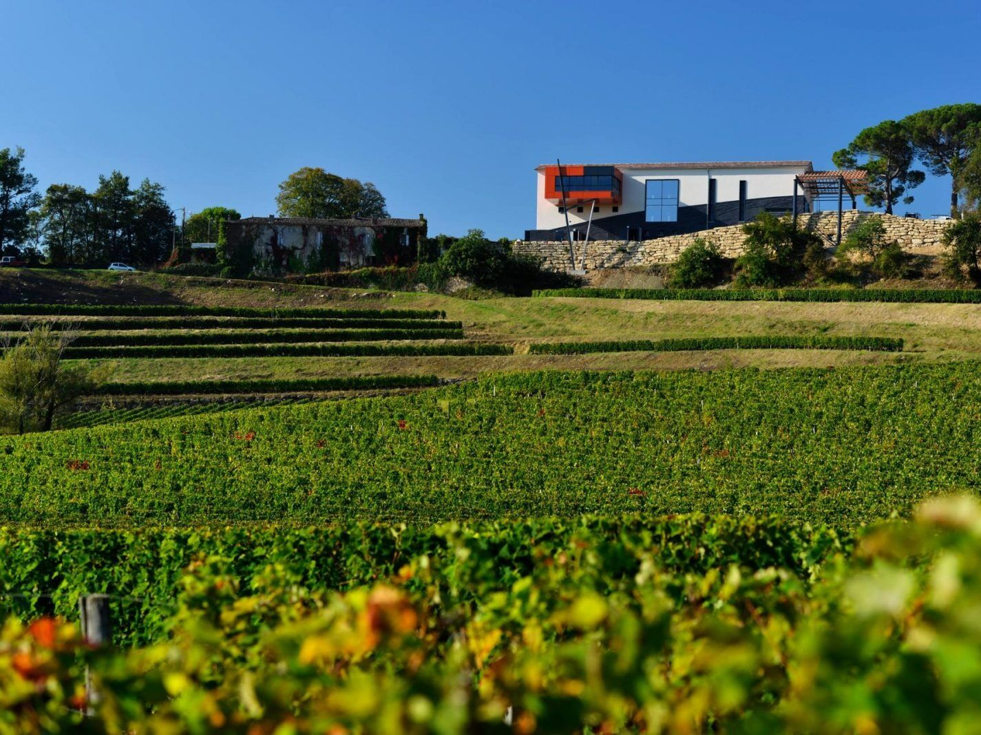 Picture of Château La Croizille
