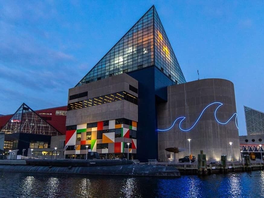 Picture of National Aquarium
