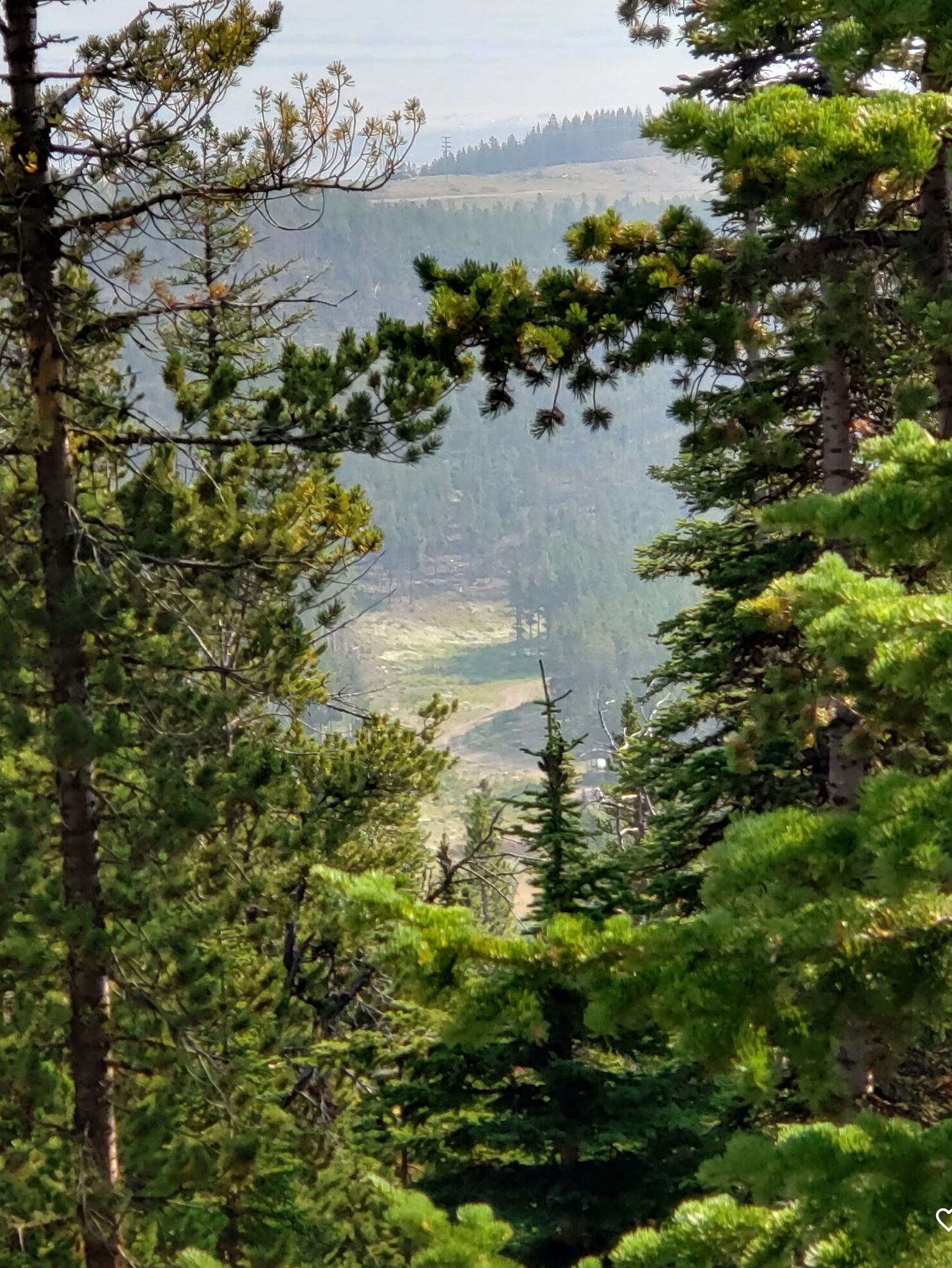 Picture of Red Lodge Mountain
