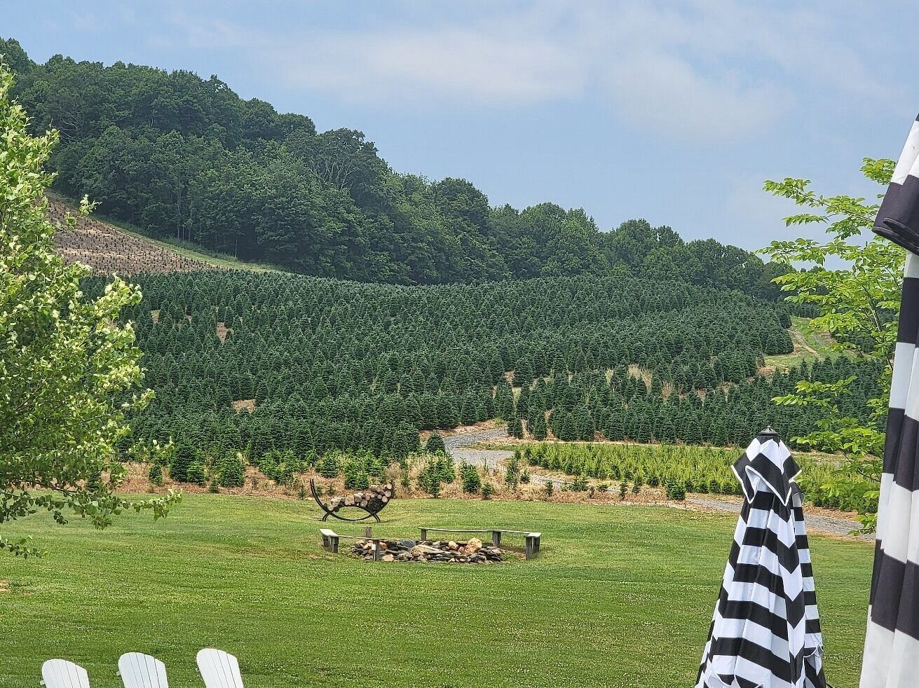 Picture of Old Barn Winery and Vineyards
