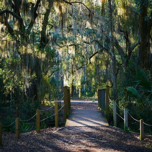 Picture of Jacksonville Arboretum & Botanical Gardens