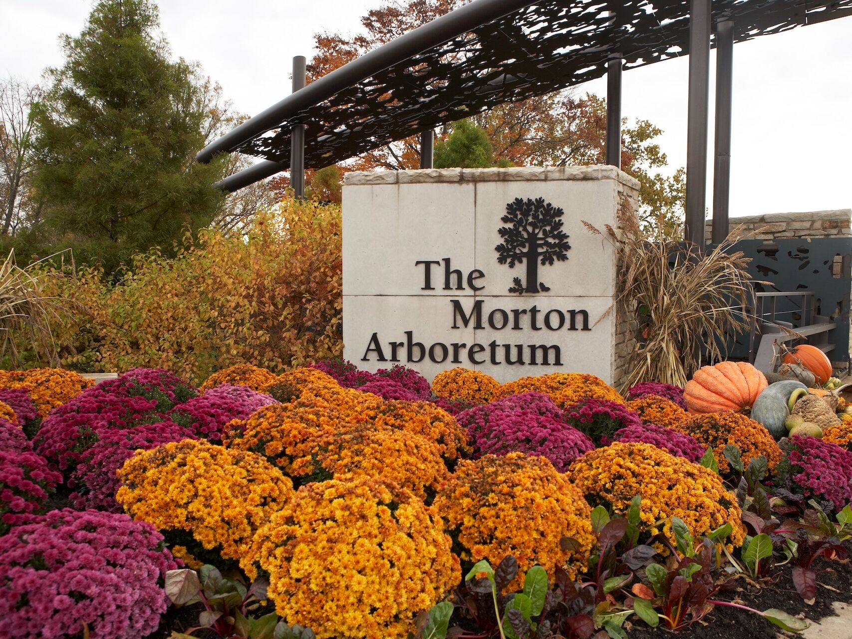 Picture of The Morton Arboretum