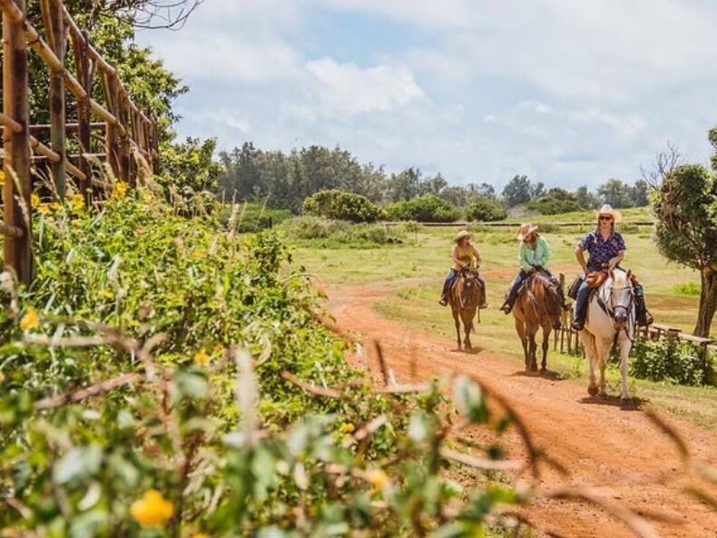 Picture of Horseback Ride Like an Authentic Paniolo in Kahuku