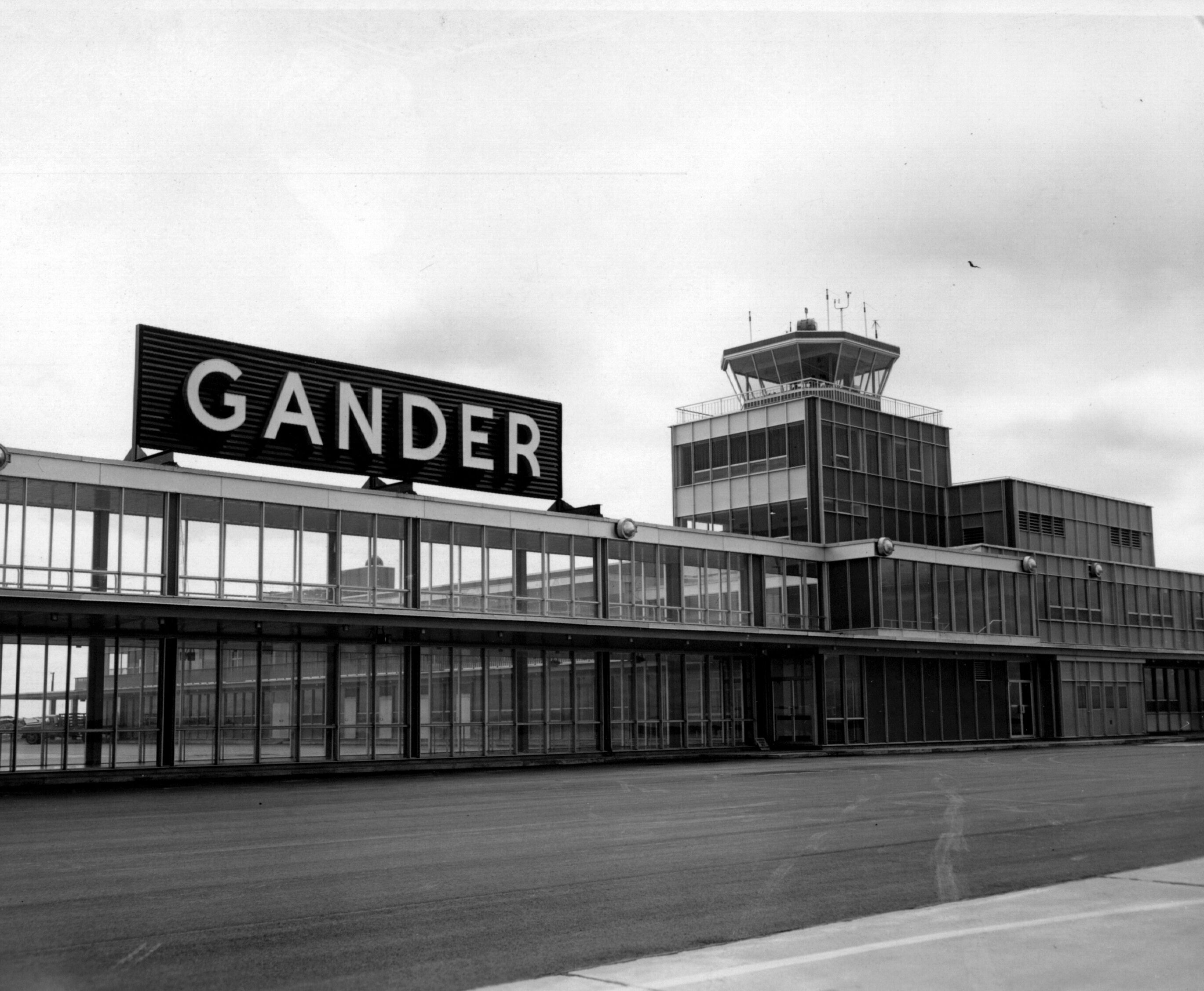 Picture of Gander, 9/11 Museum & Show