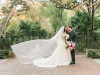 Groom with bride on wedding day wearing cascading cathedral-length veil