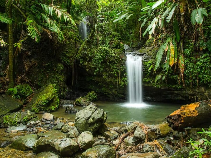 Picture of El Yunque National Forest