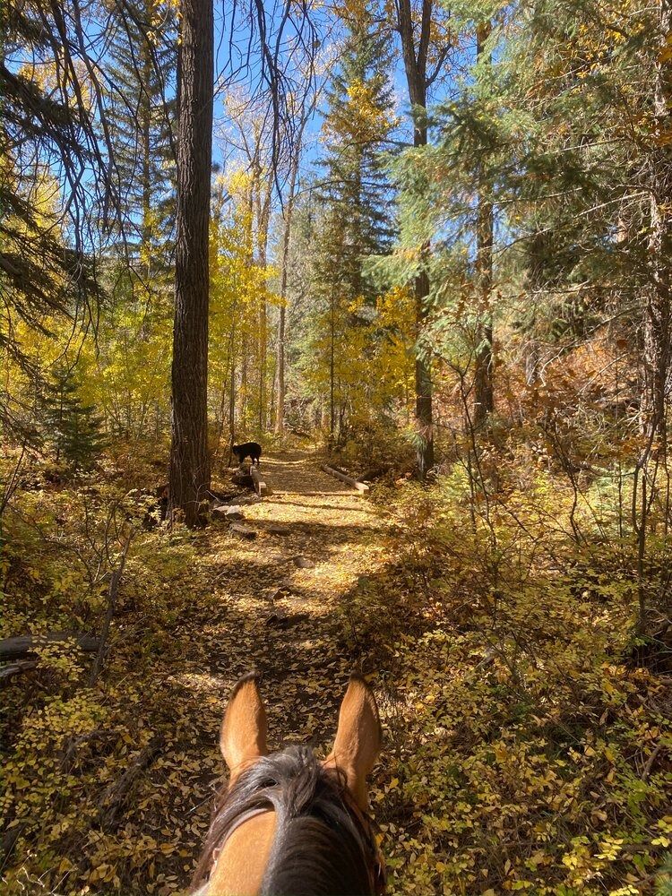 Picture of Horseback at Bear Ranch