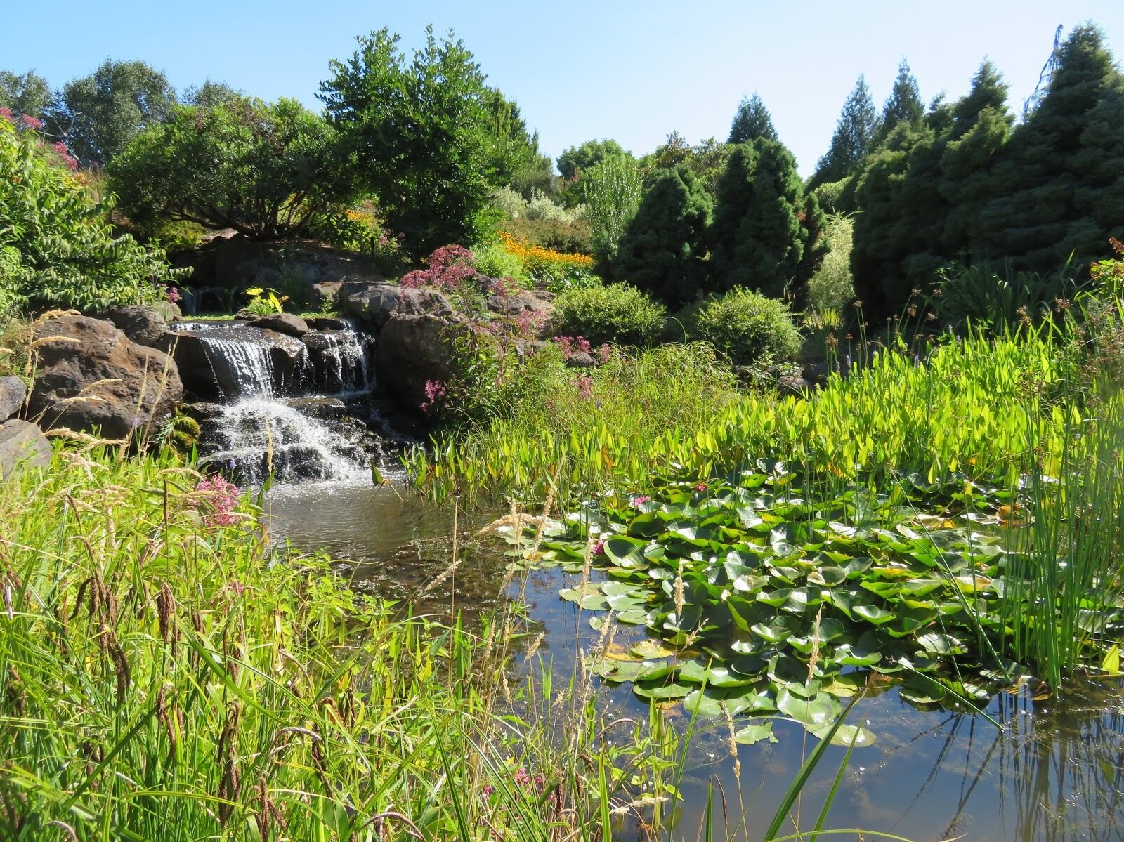 Picture of The Oregon Garden