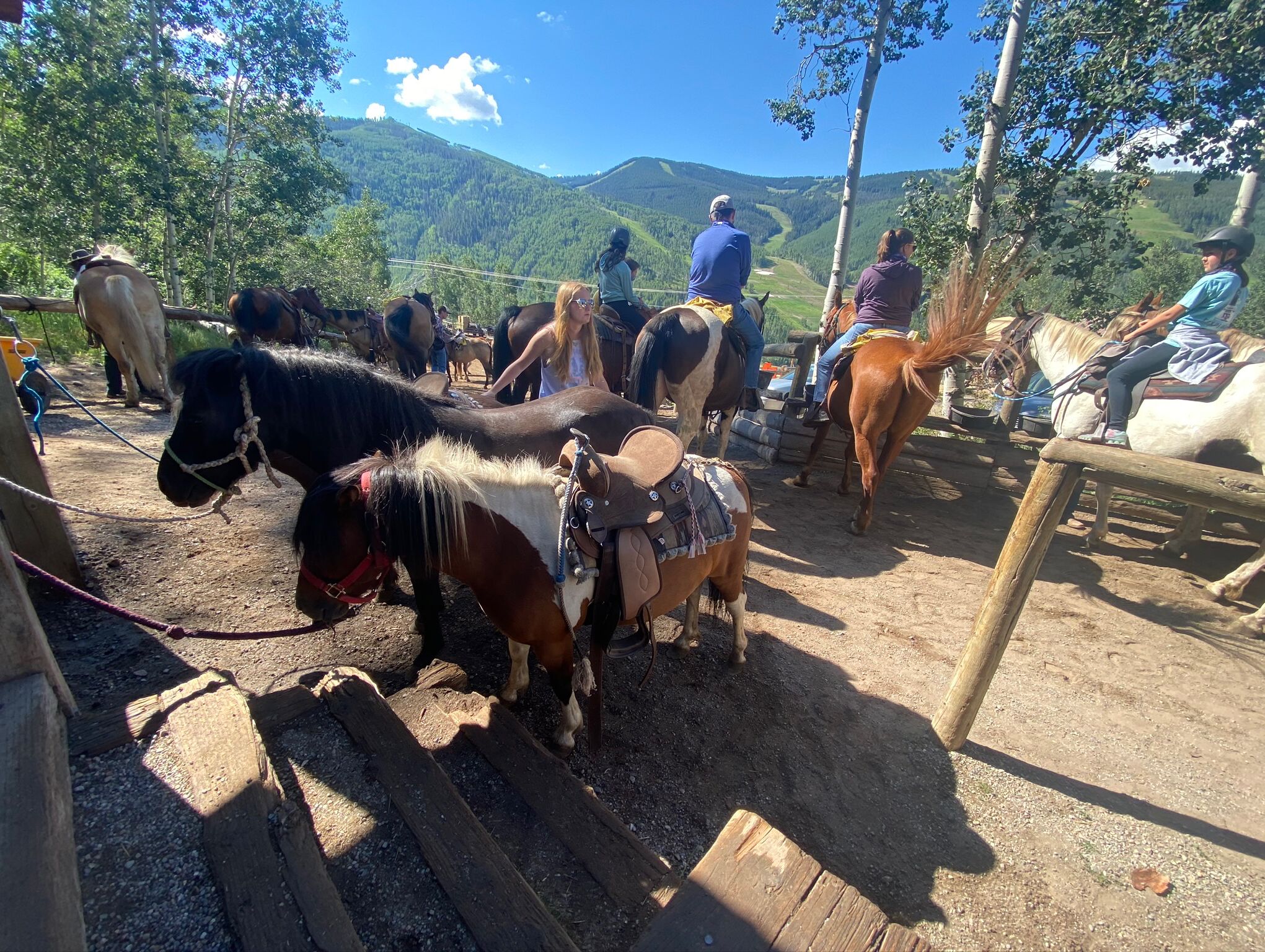 Picture of Horseback Riding