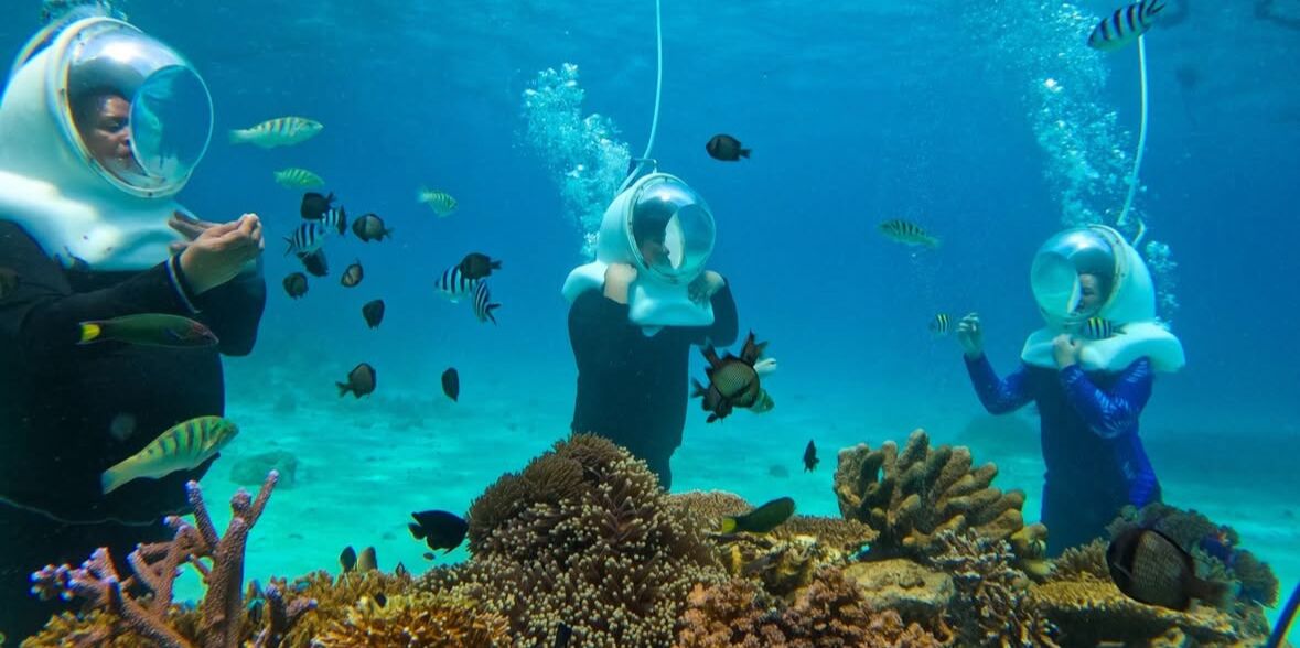 Picture of Diving and Aqua Sports