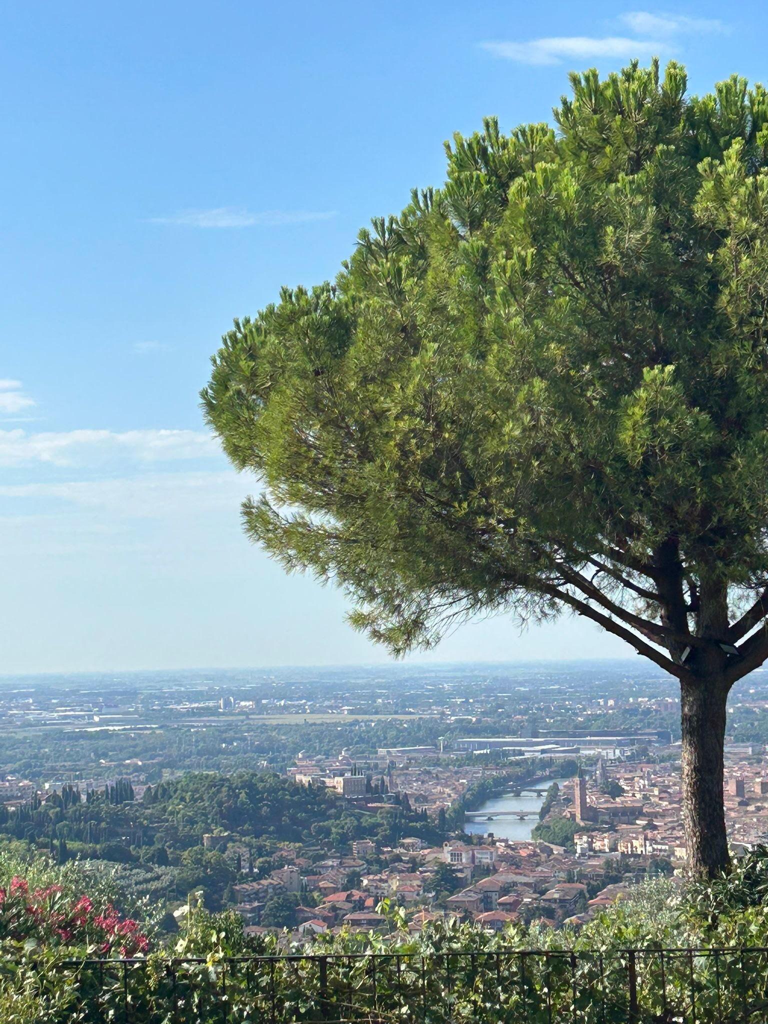 Picture of Corte San Mattia