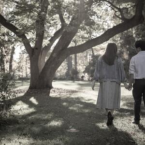 Gallery Photo 35