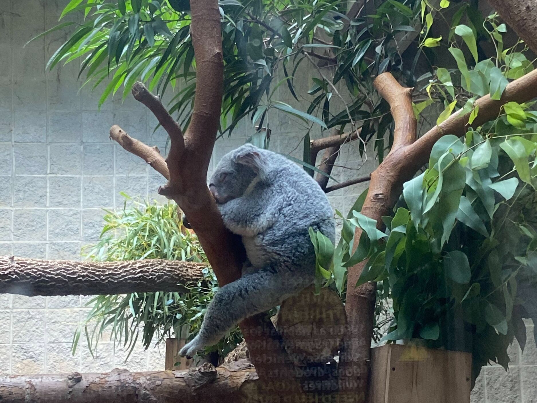 Picture of Columbus Zoo and Aquarium