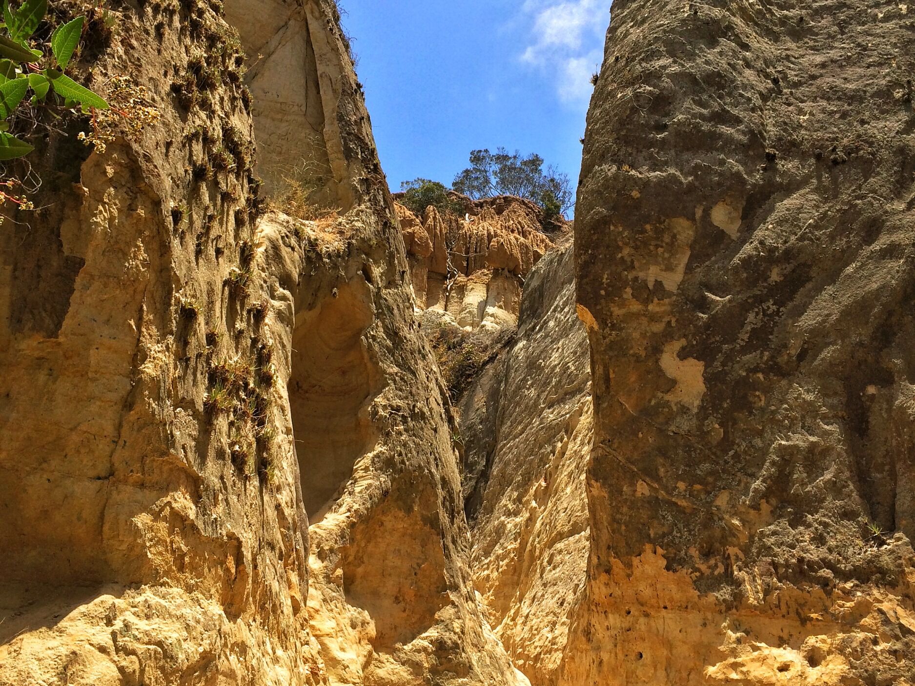 Picture of Annie's Canyon Trail