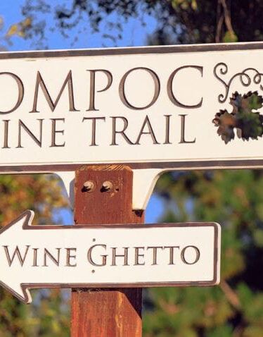 Picture of Wine Tasting 