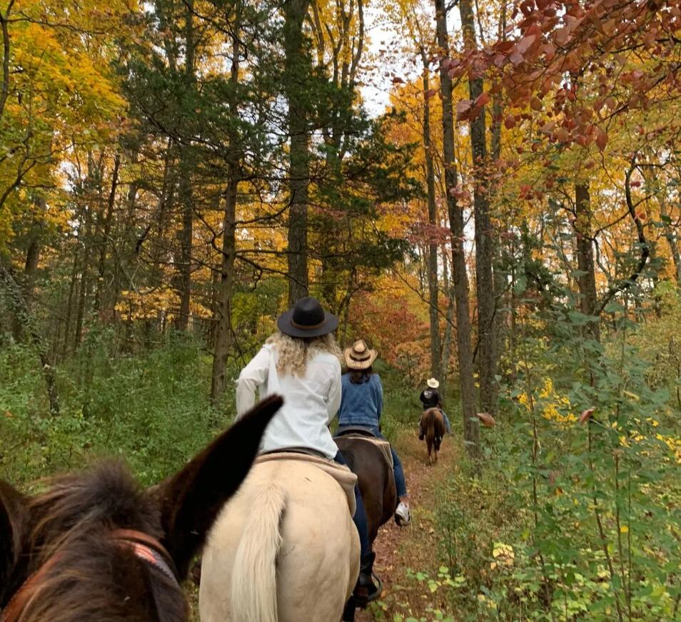 Picture of Quiet Creek Stable