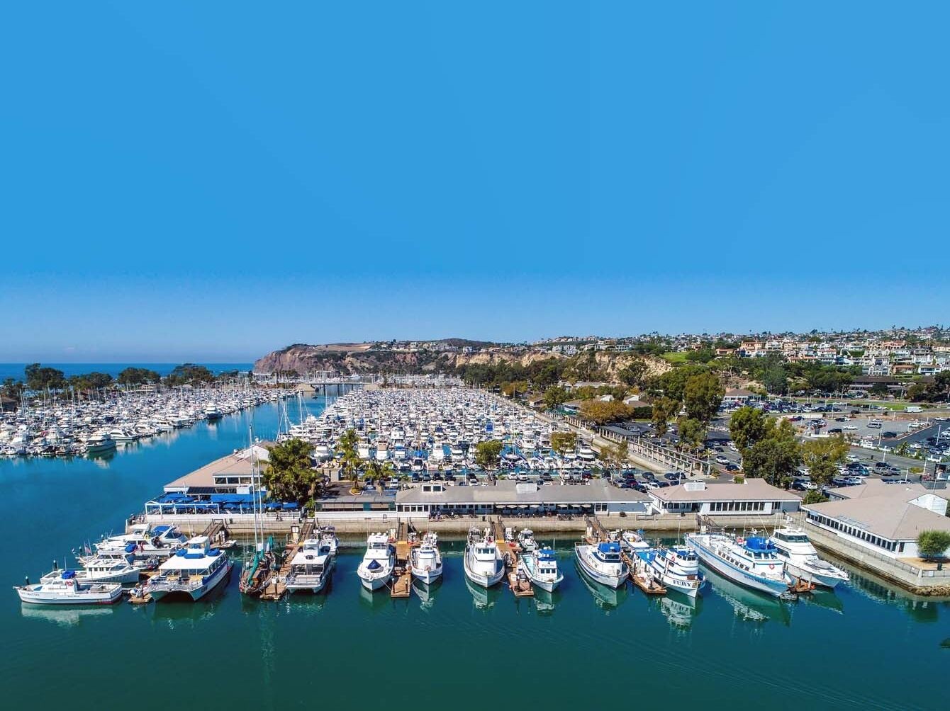 Picture of Dana Point Harbor