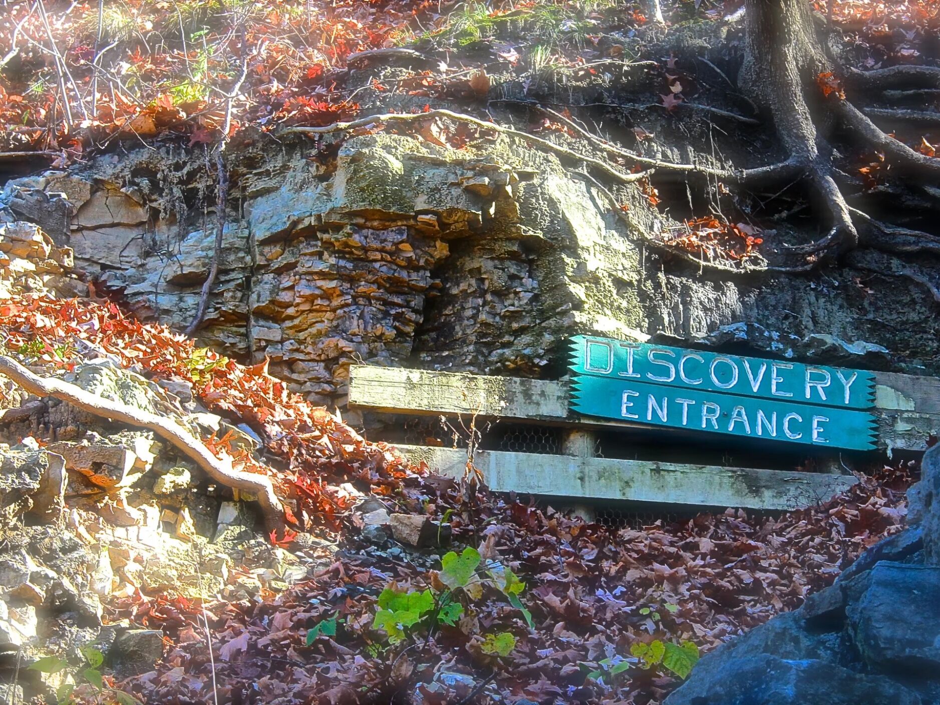 Picture of Mark Twain Cave